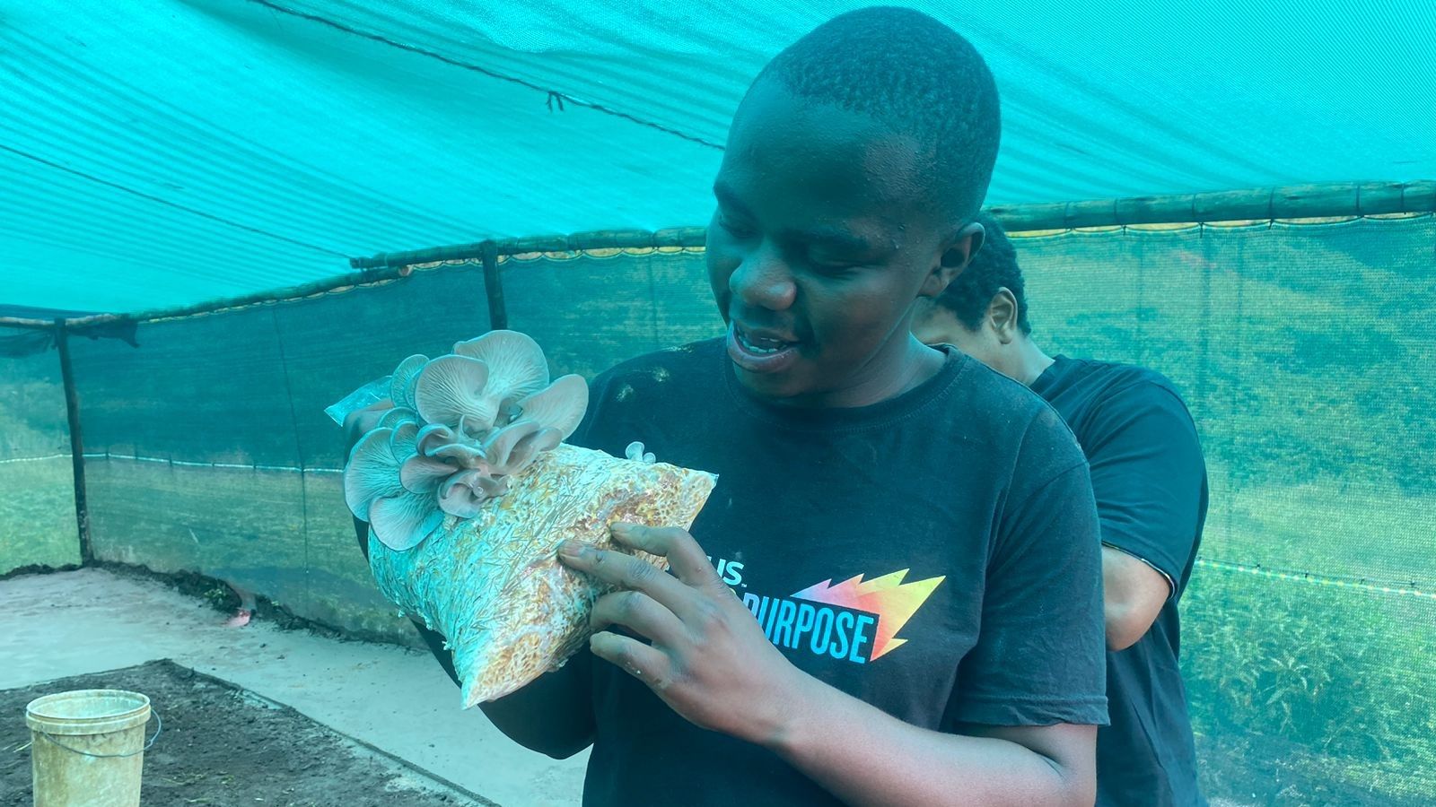 Enactus DUT member and Myco Feeds founder Thokozani inspects growing mushrooms during field trials.
